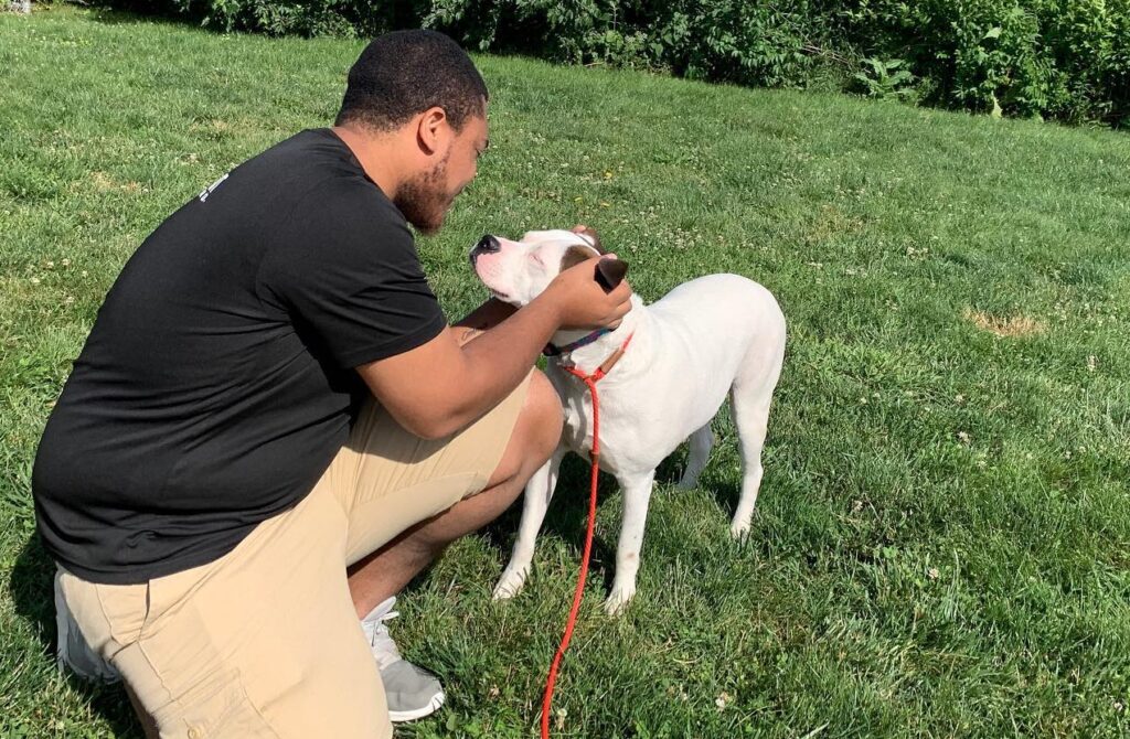 trainer petting dog in field