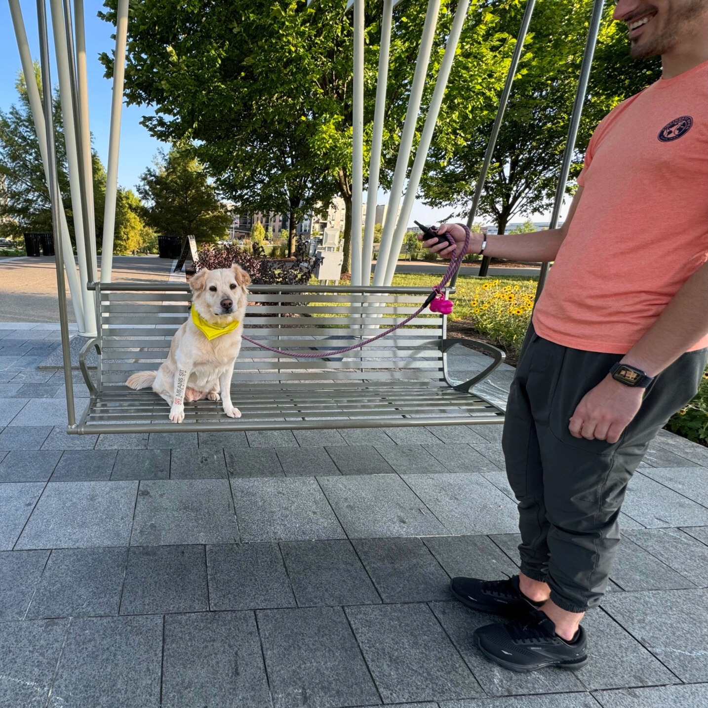 white dog sitting on bench swing