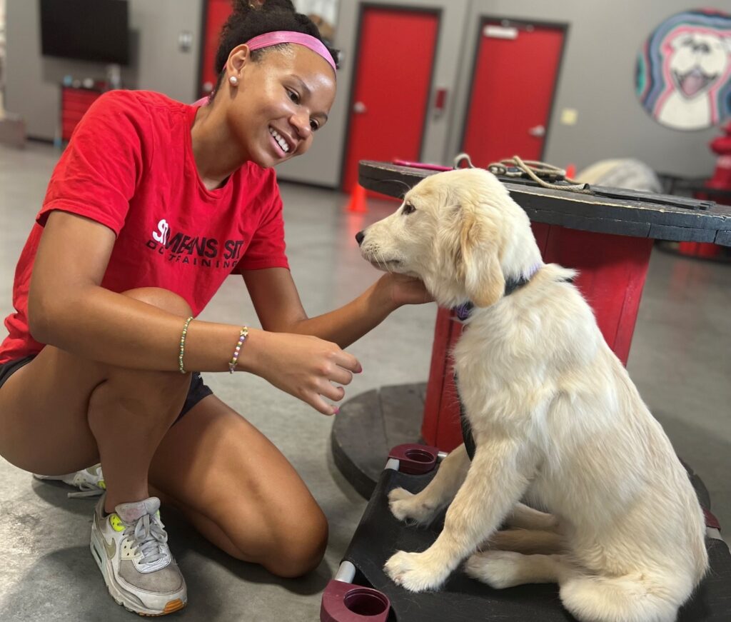 trainer with golden puppy