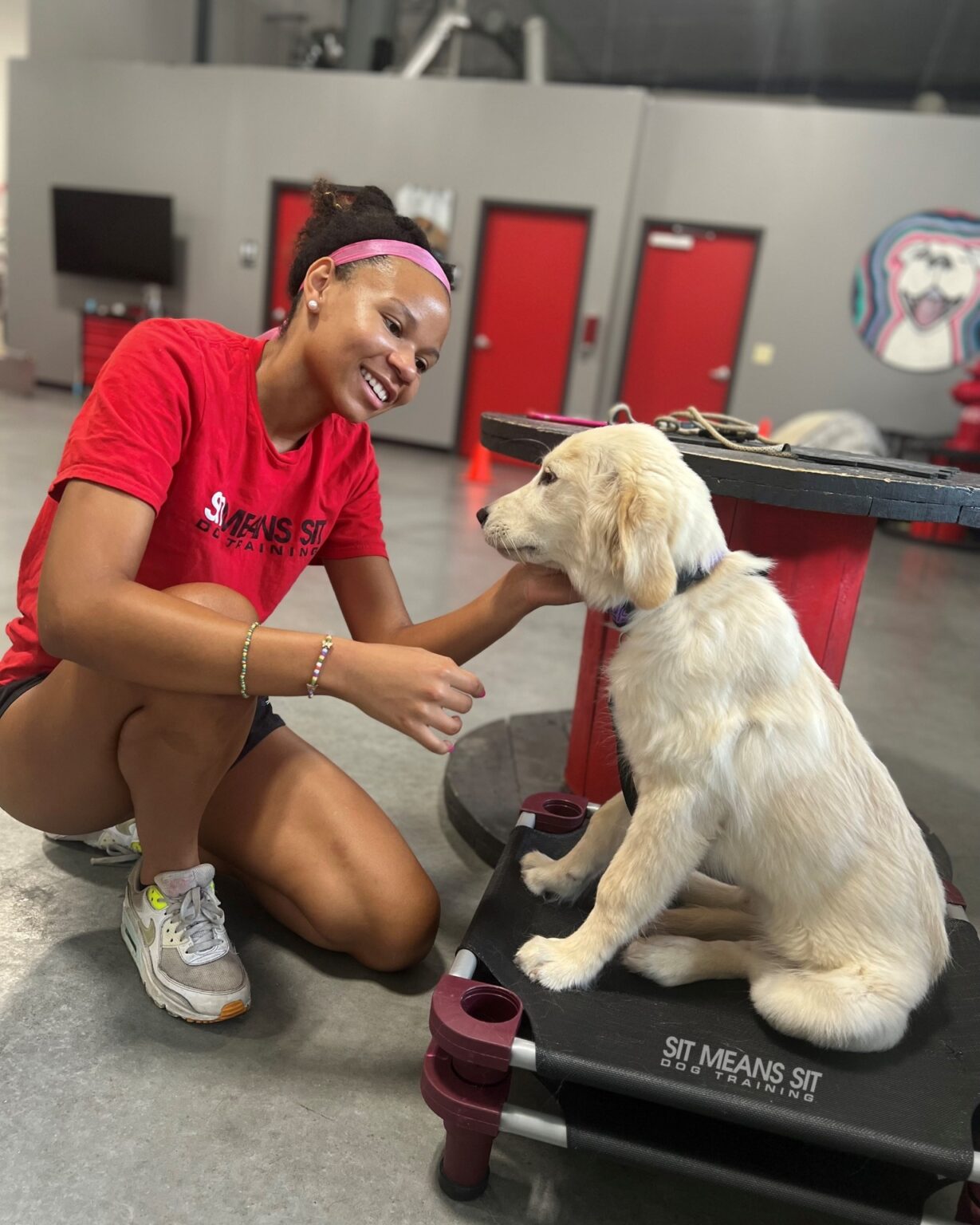 dog trainer petting puppy