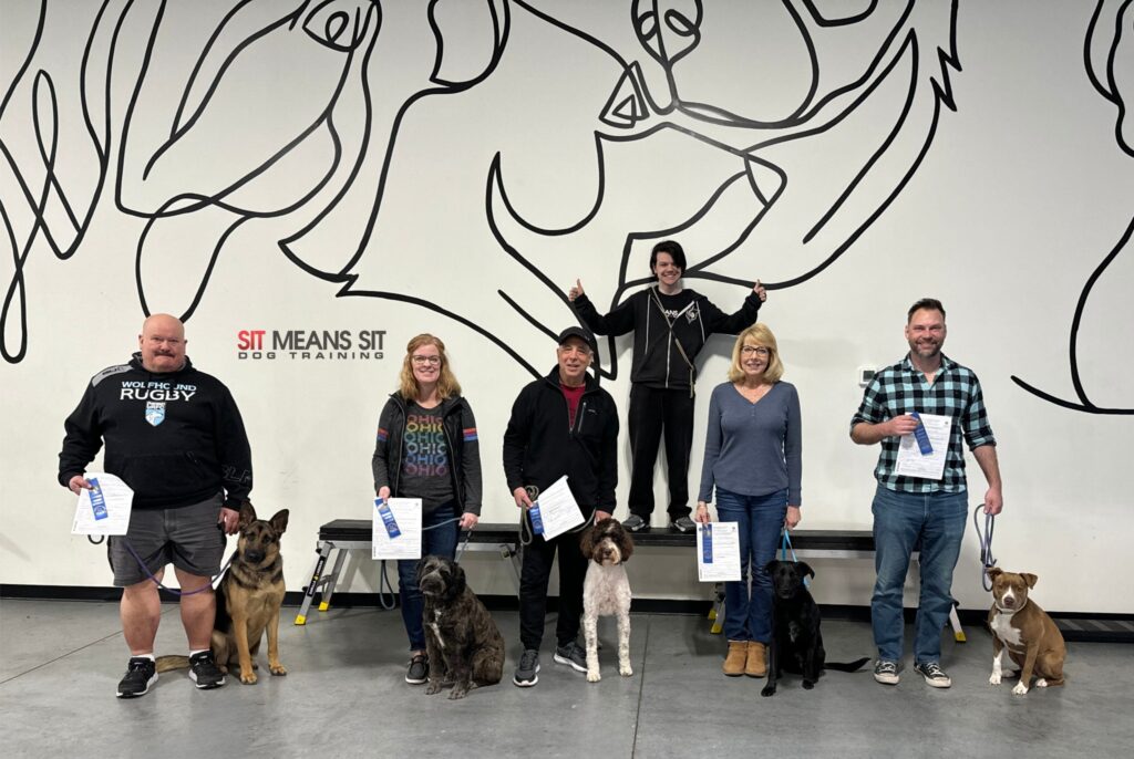 dogs with their owners at group training